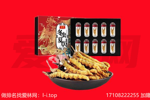 巴彦卓尔杭锦后旗回收虫草.jpg